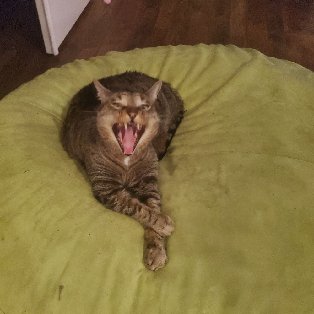 mrbuttersmom.bsky.social profile picture