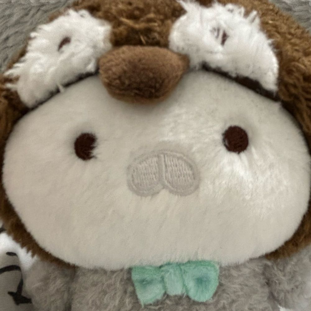 や