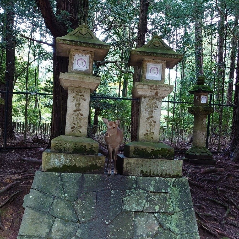 検非違使