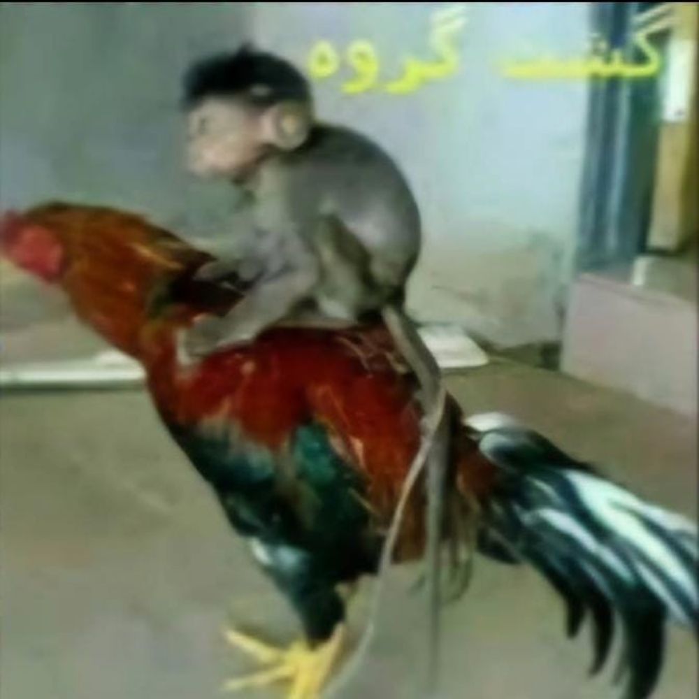 efibê