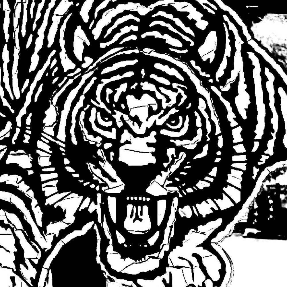 WHITE TIGER