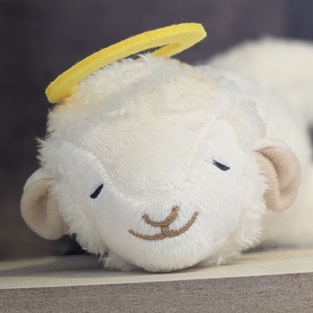 ののね