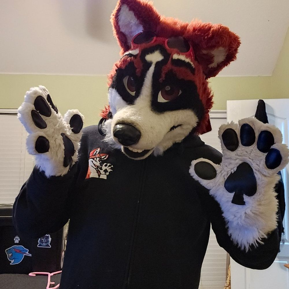 Tenkai Husky