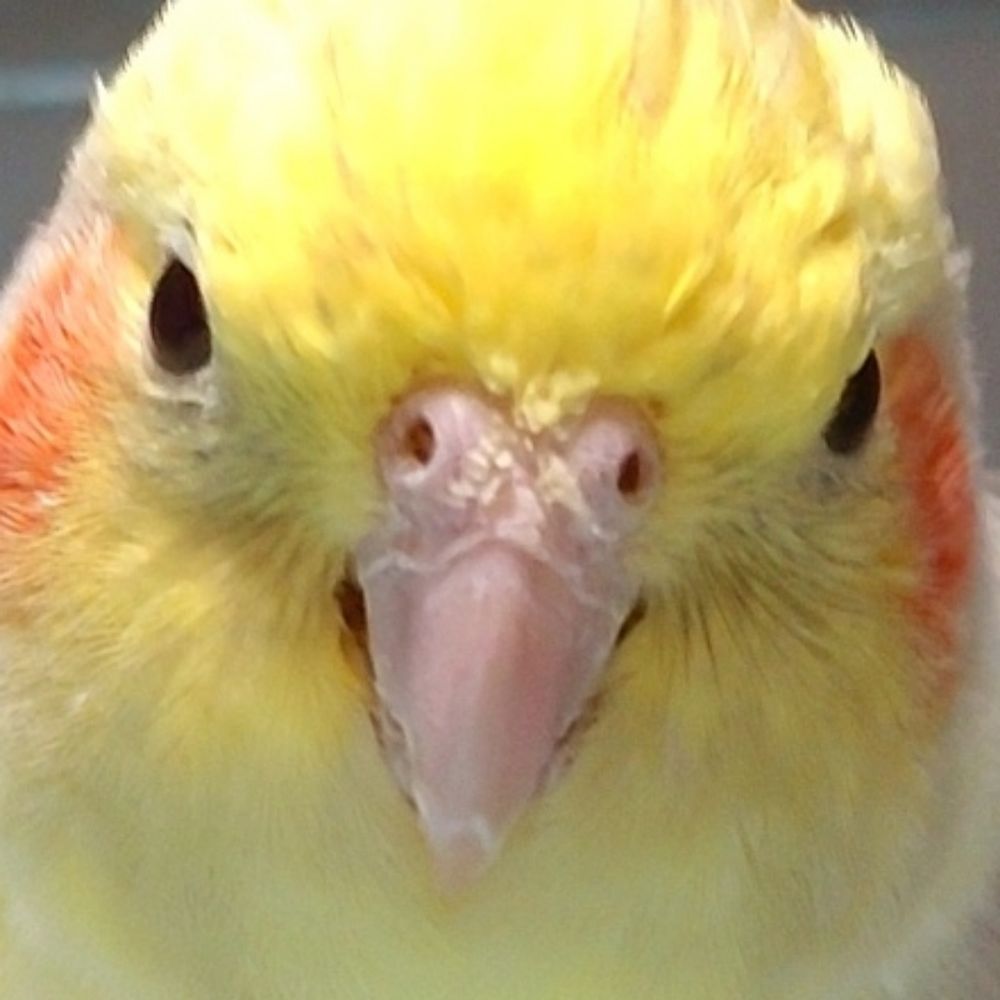 しょうたろう