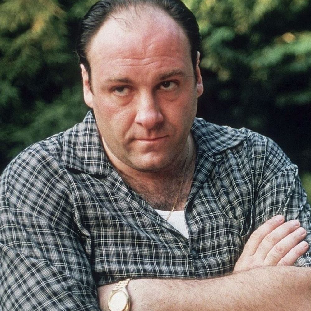 Shogun Tony Soprano