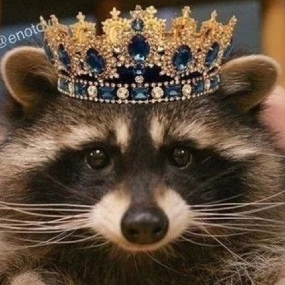 BayouBilly