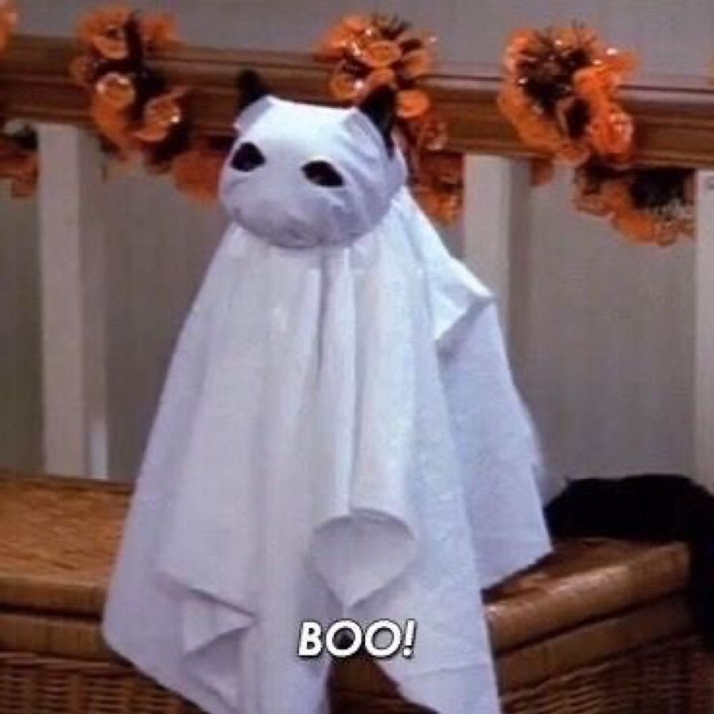 BOObs 🎃