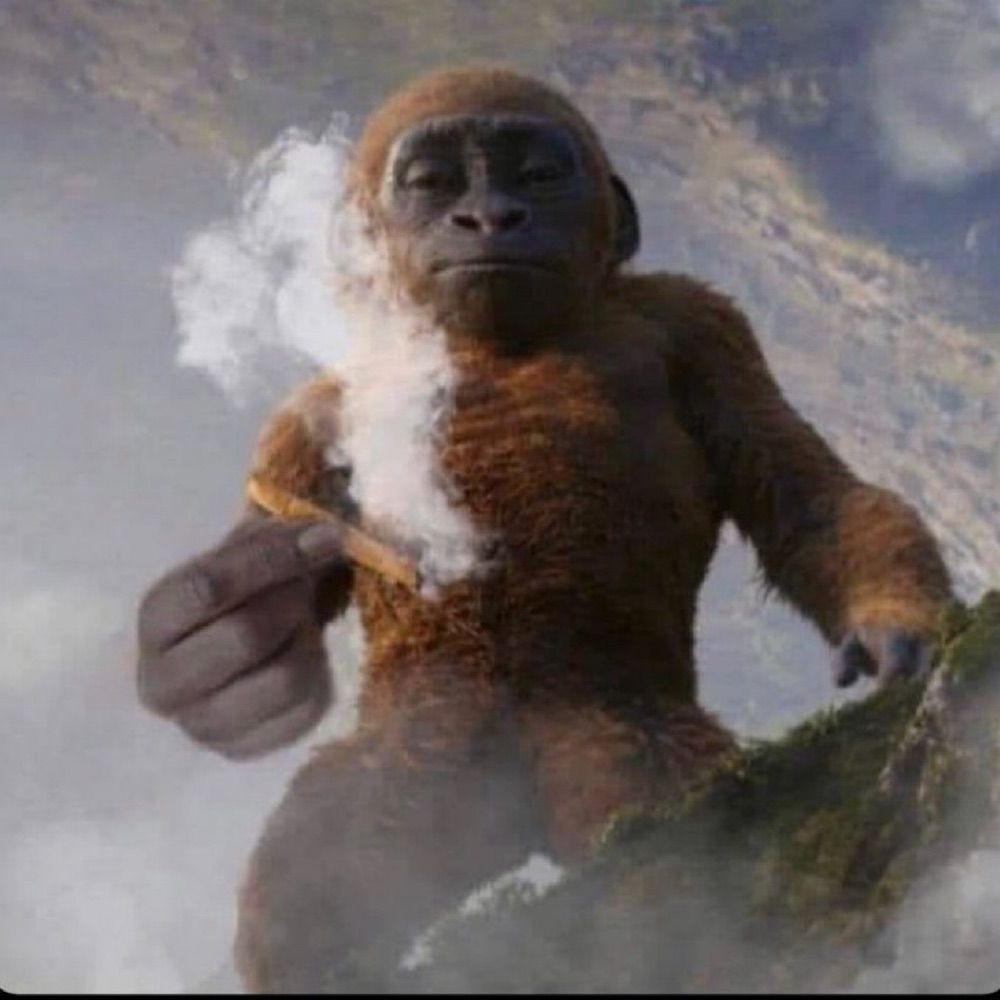 WheydeMaconha