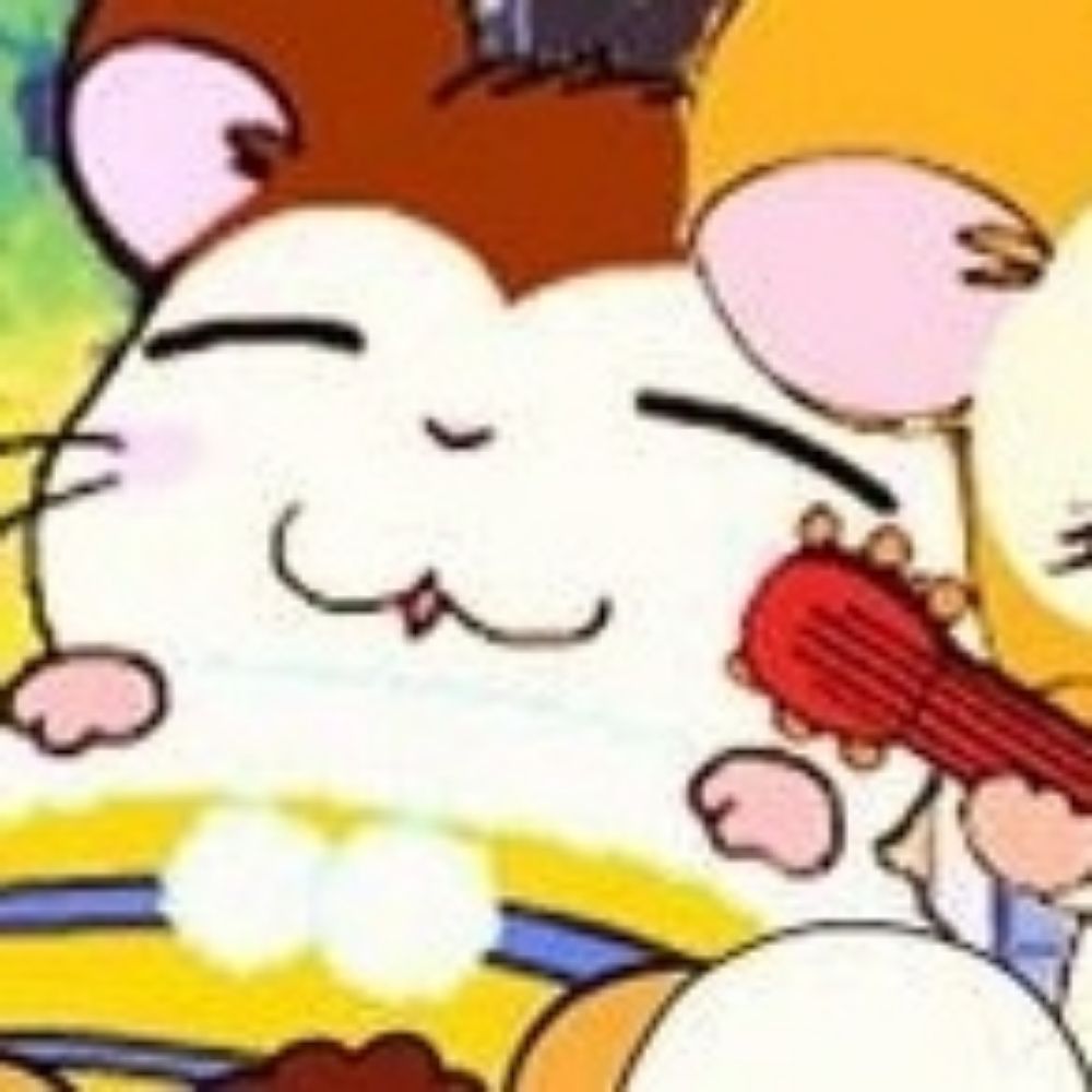 찌티찌티뱅뱅