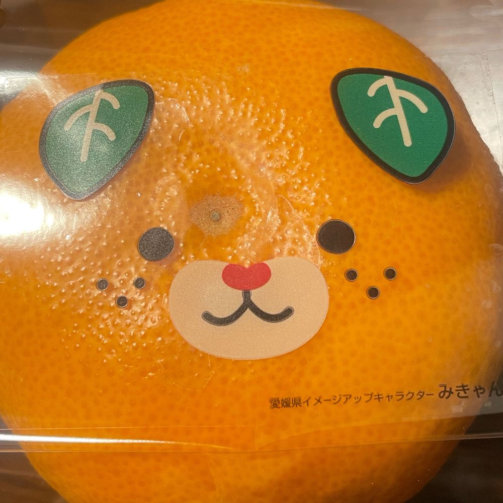 なとり