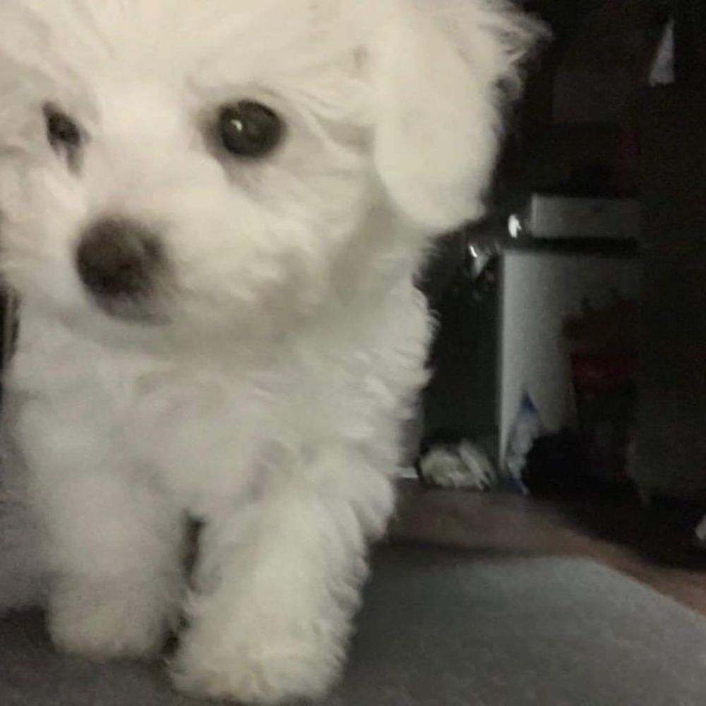 nali