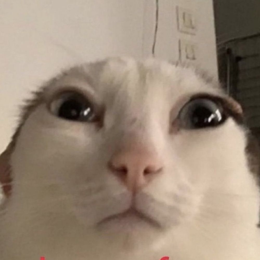 𝔅𝔯𝔢