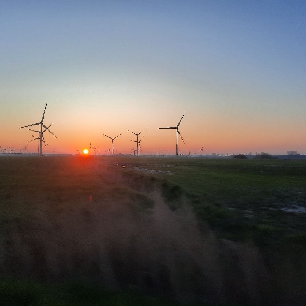 Kathrin B. ❤️🎸💚🤍🌍🥃🌊🌊🌊