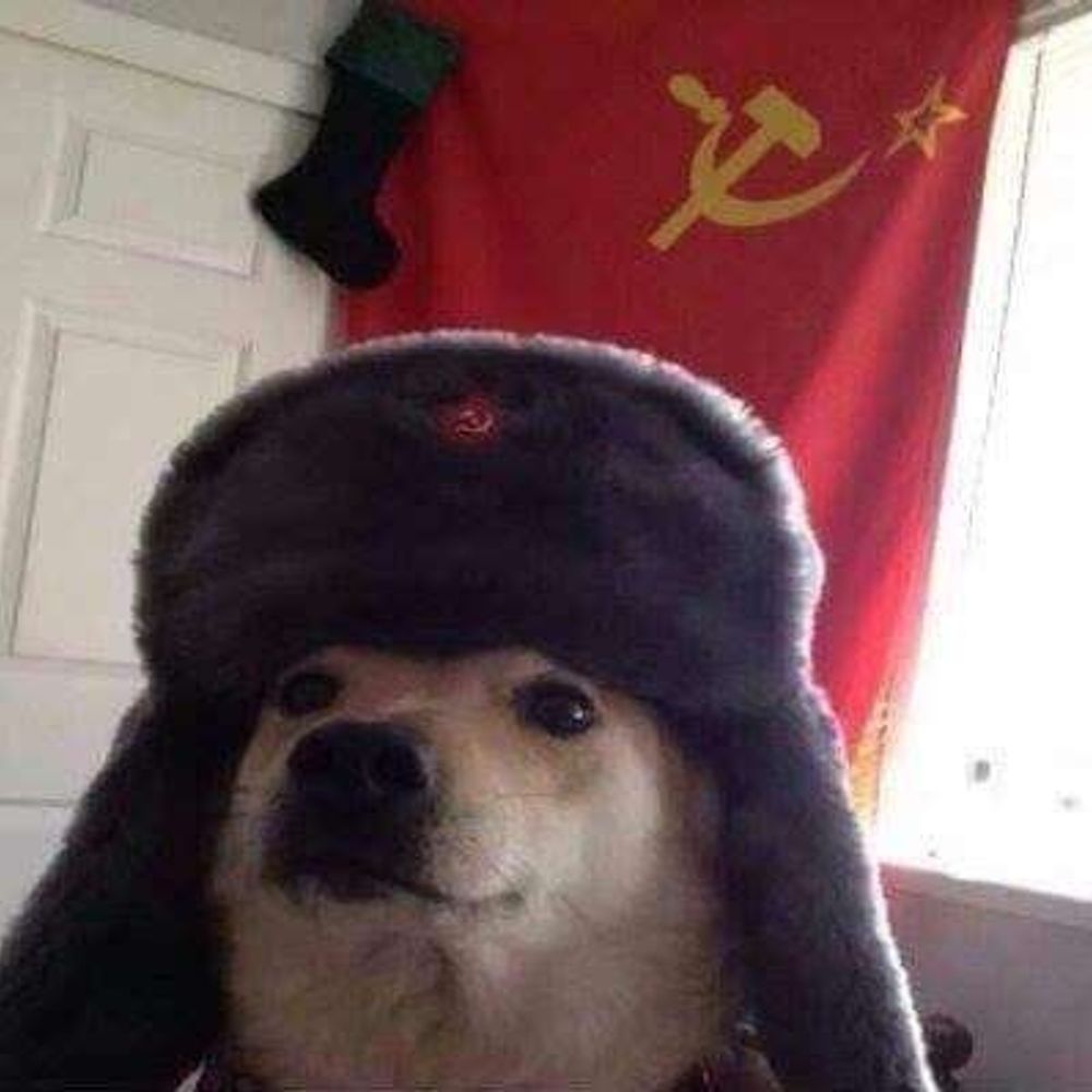 Aleks