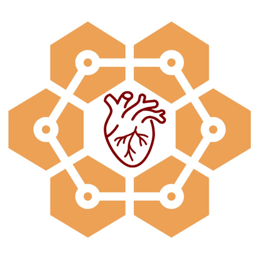 Healthcare Allocation Lab