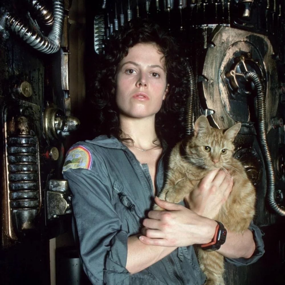 Nora Arbelbide