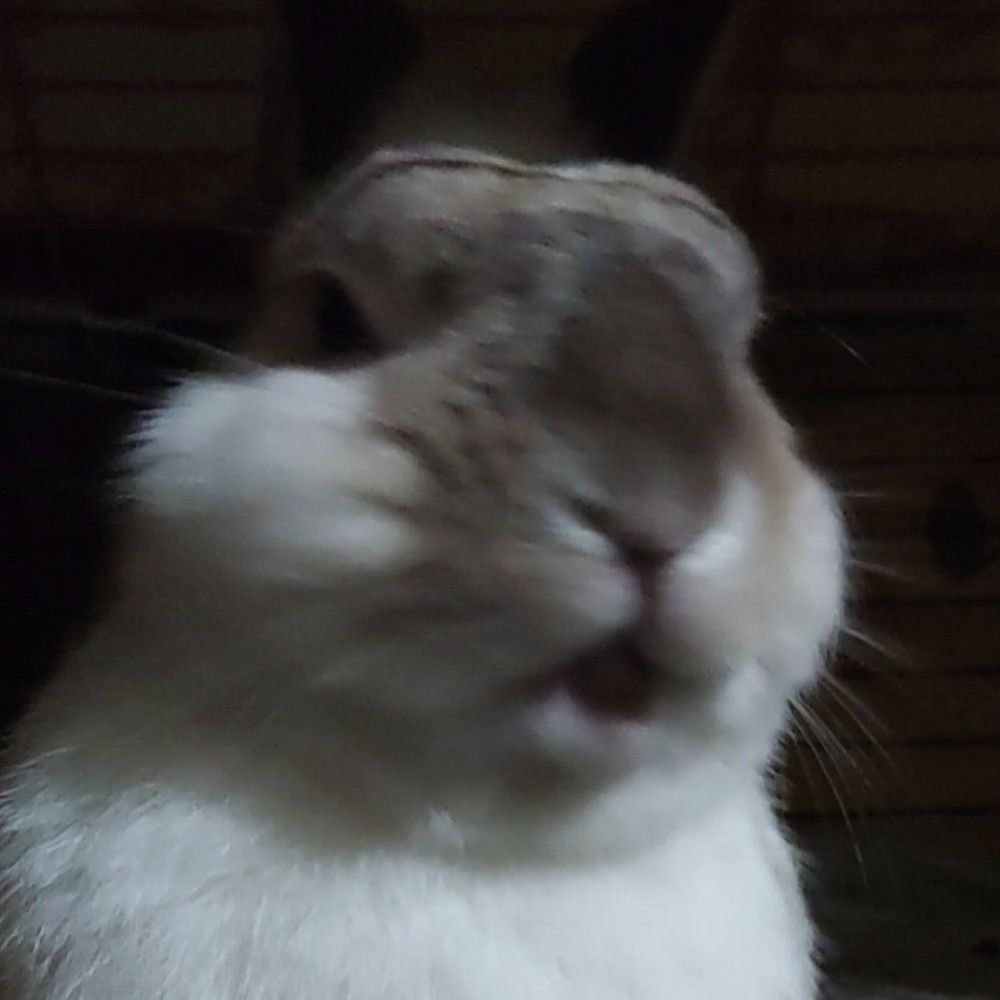 にゃく