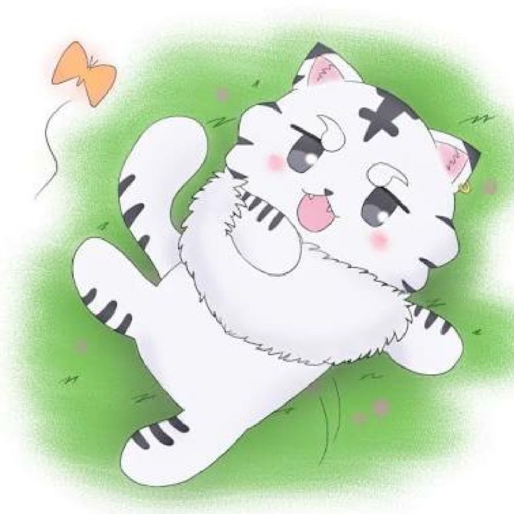 kaya1502.bsky.social