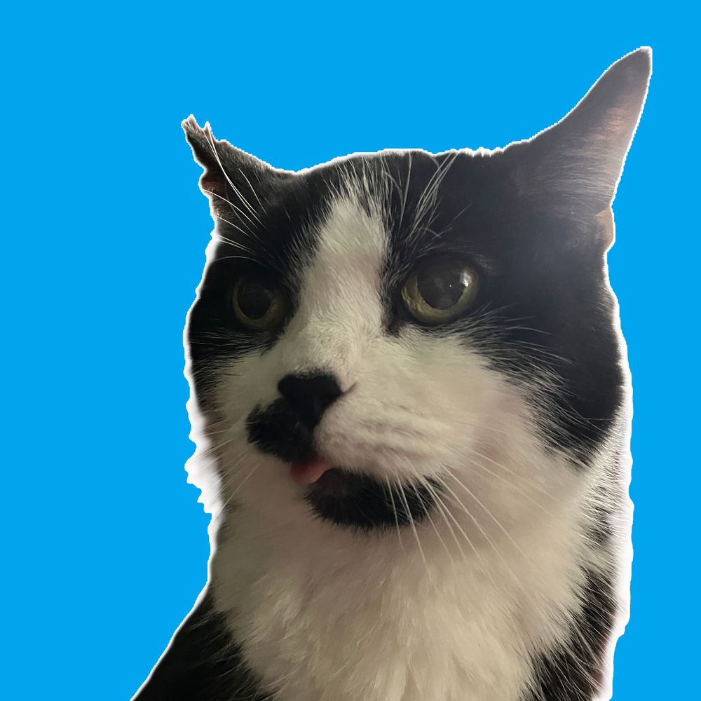 StrayKat