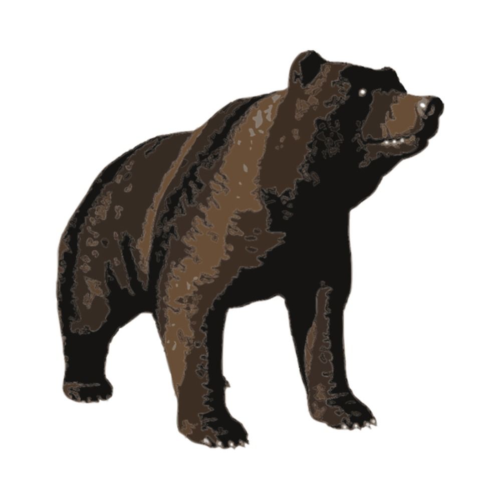 bearmax1111.bsky.social