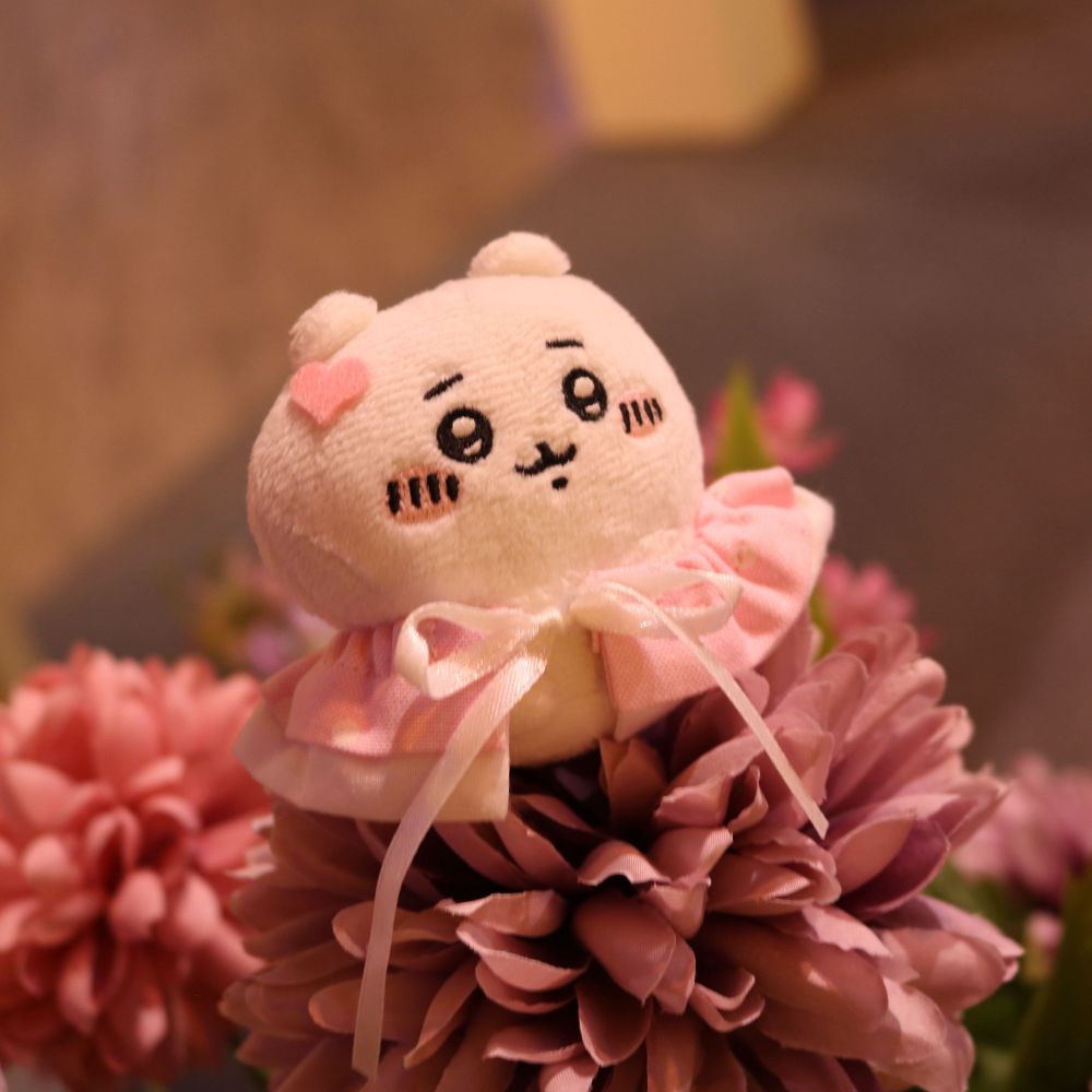 イブちゃんで〜す🌸