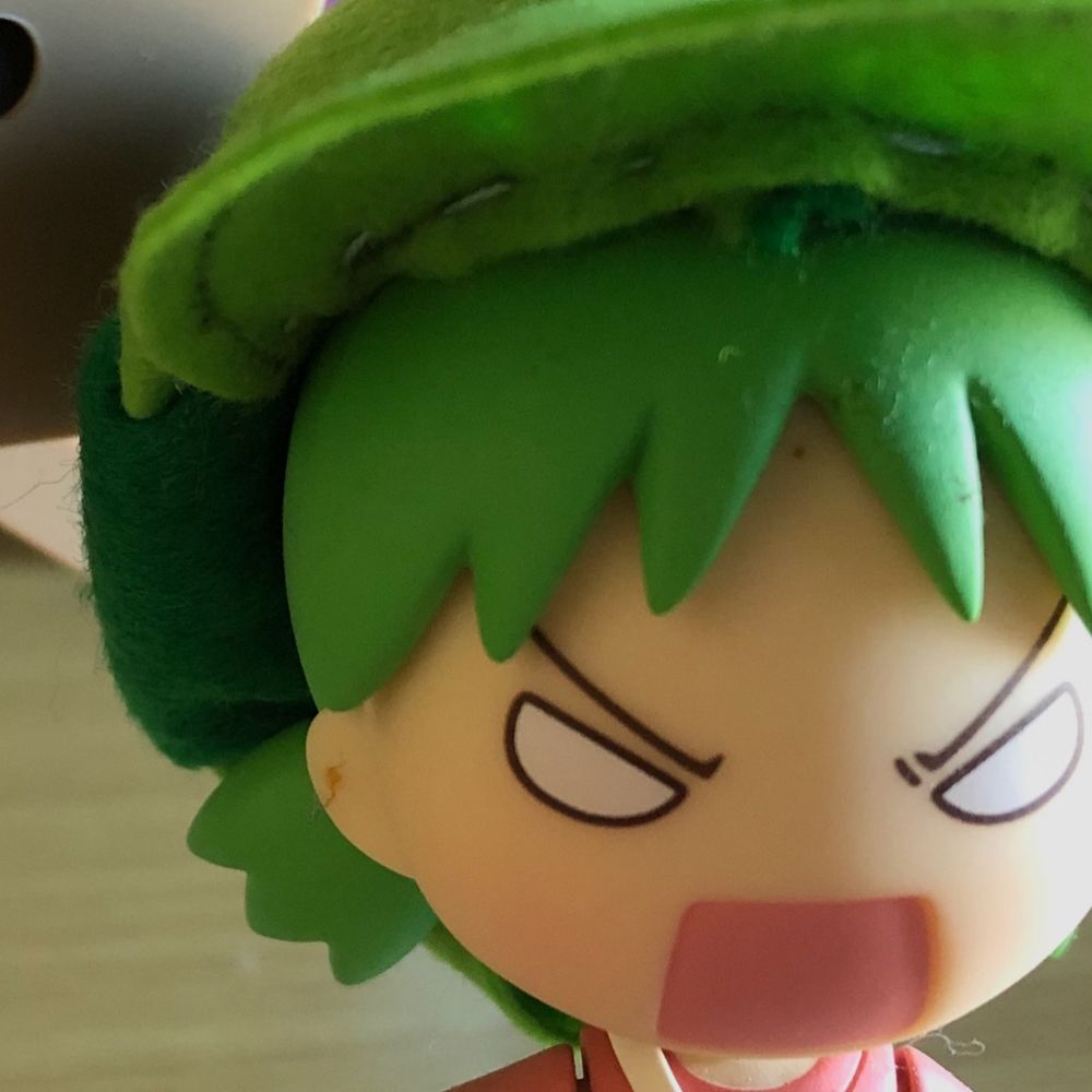 さんま猫