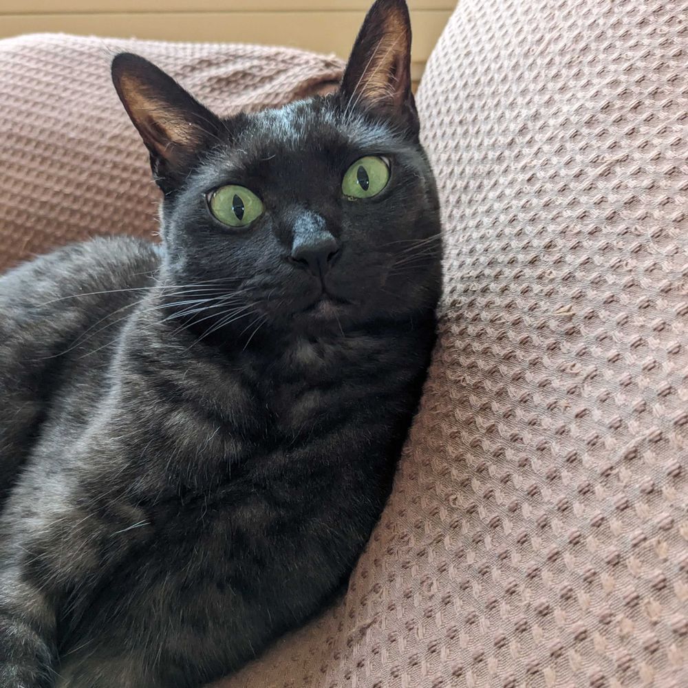 佐々木禎子🐾