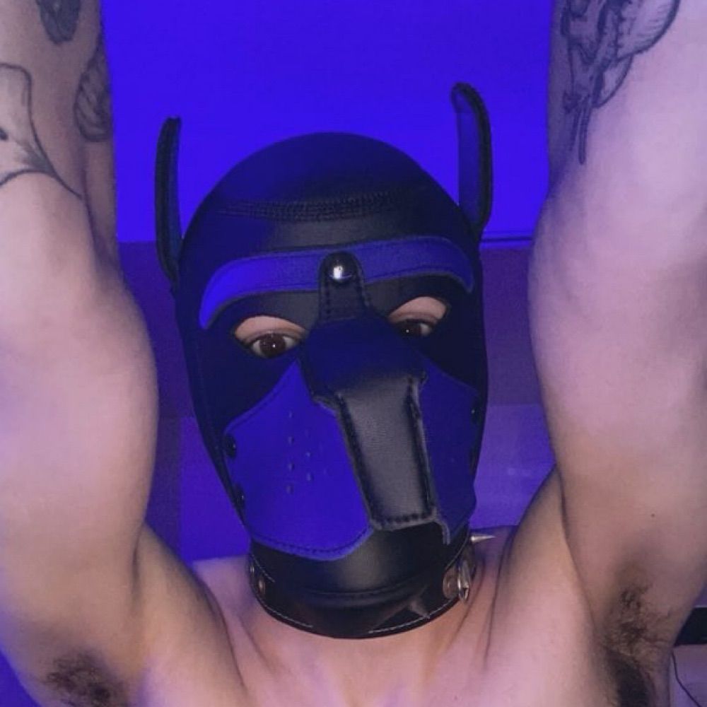 Lucifer Pup