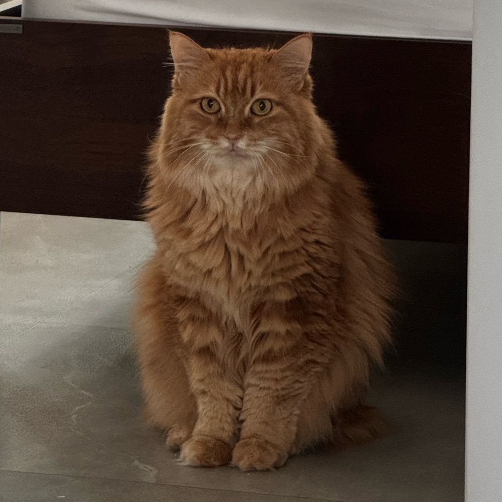 catclaw🎗️🕯️