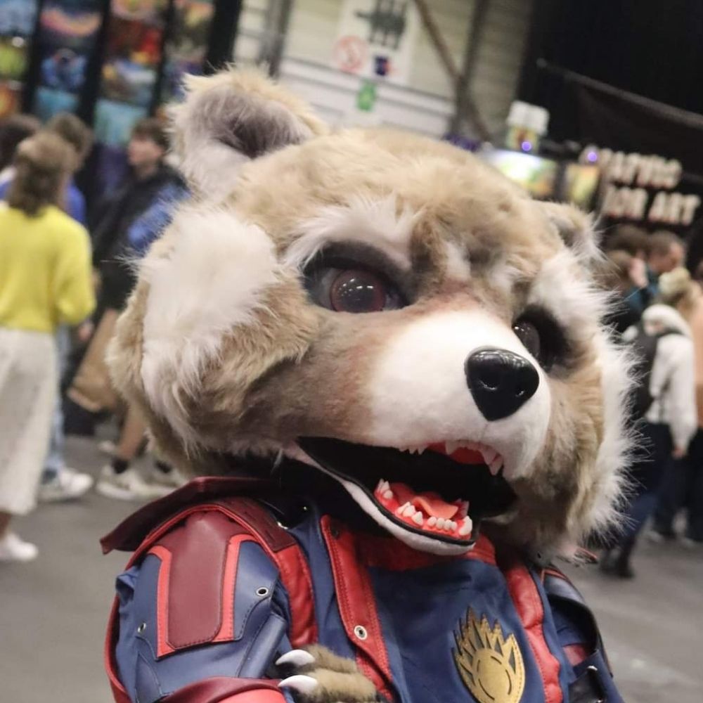 🦝