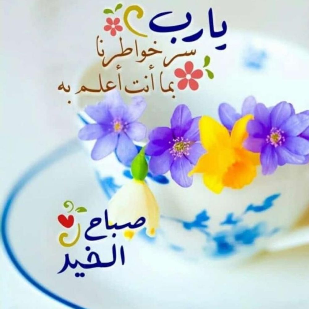 Eman Abouelenein