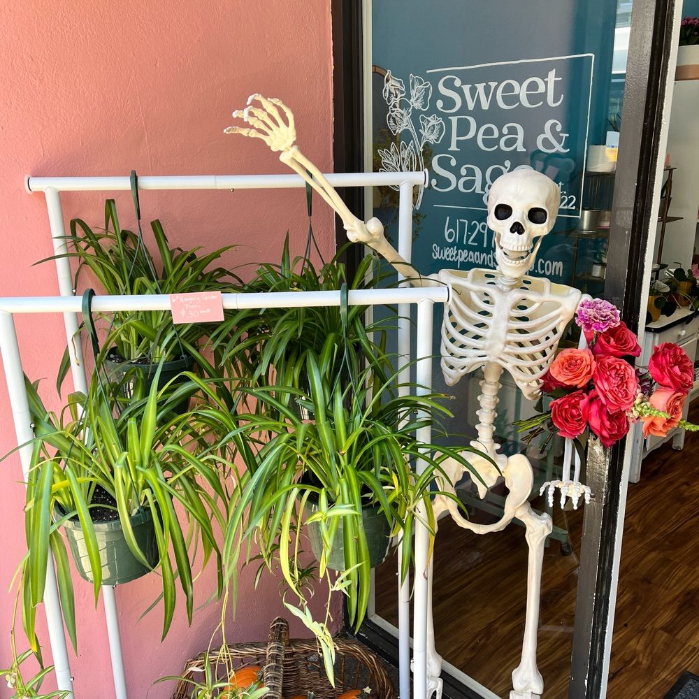 Sweet Pea and Sage JP