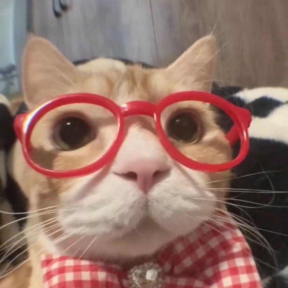 Marko