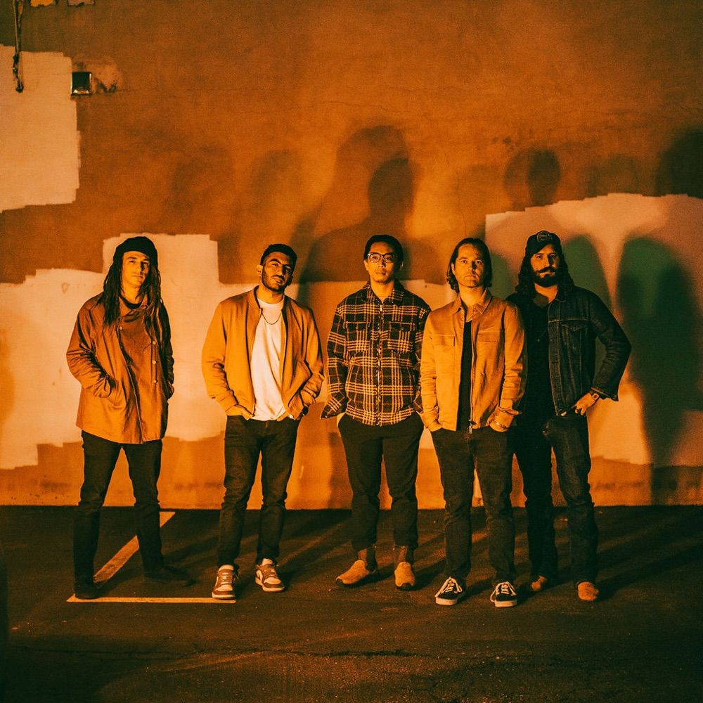 Coastal Wolves