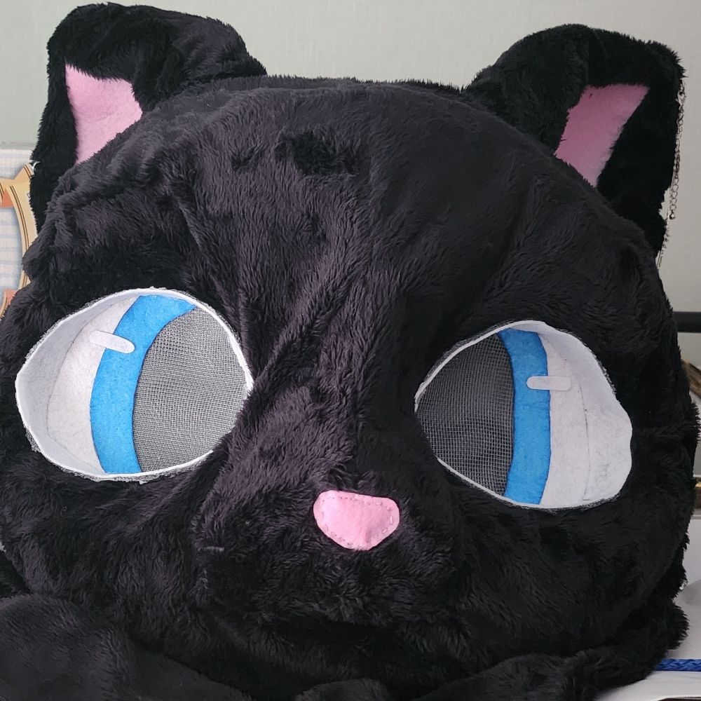🐈‍⬛미도🐈‍⬛