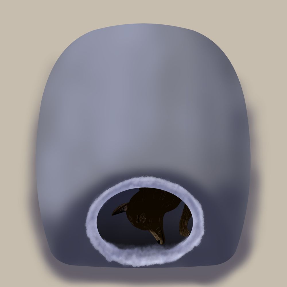 Hidey Hole