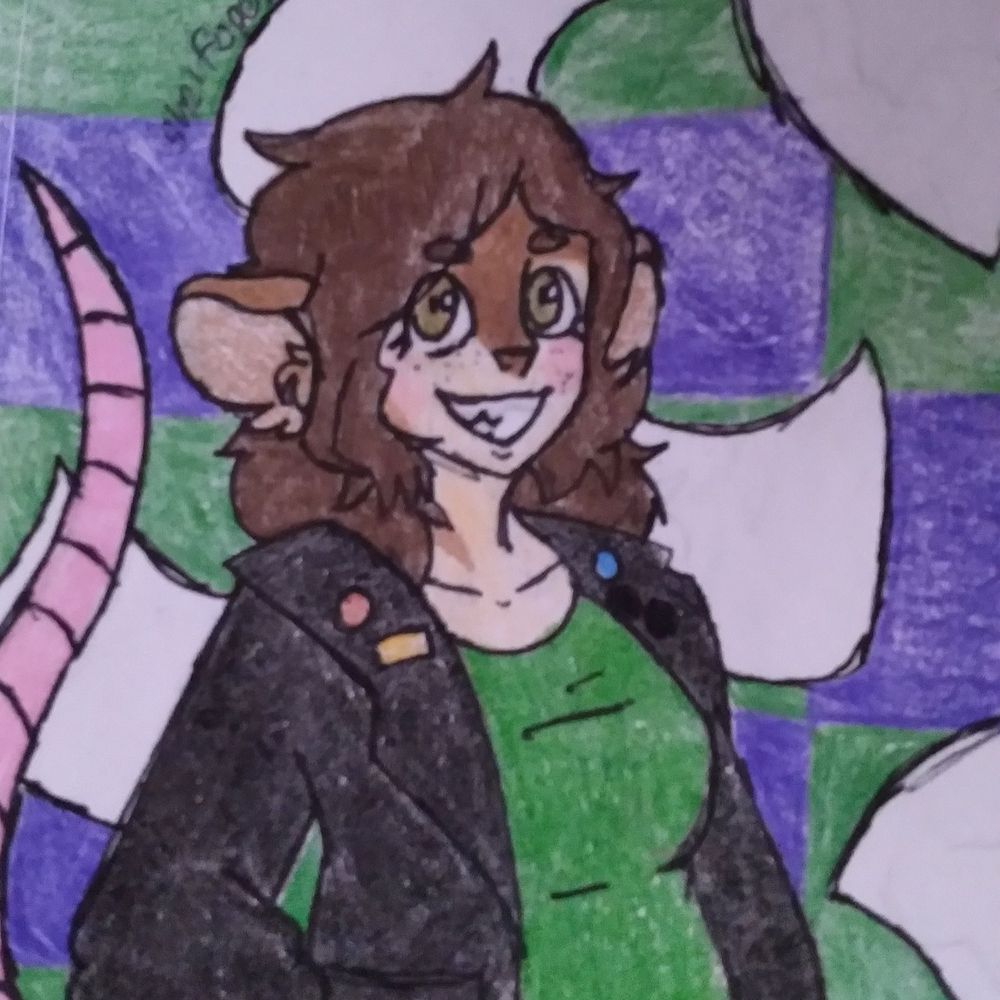 ShelfOpossum