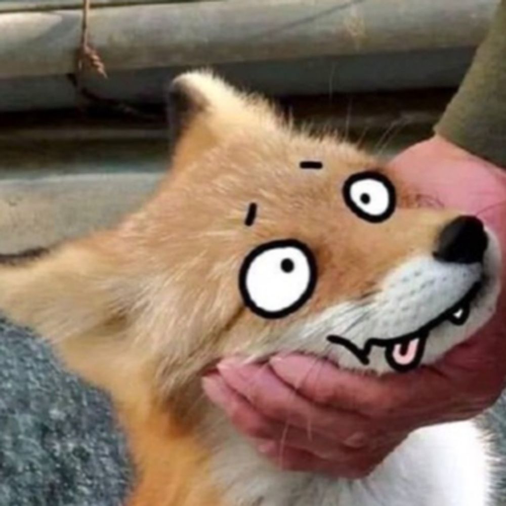 JoyWoof