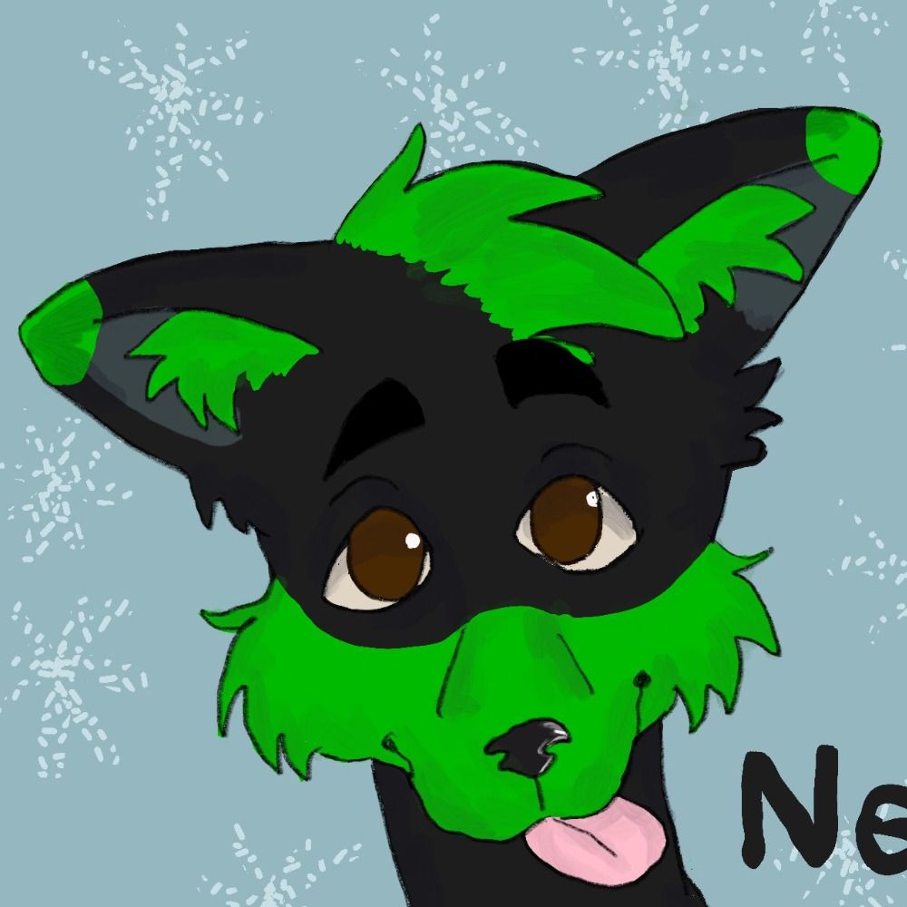 Neon the Husky Foxy