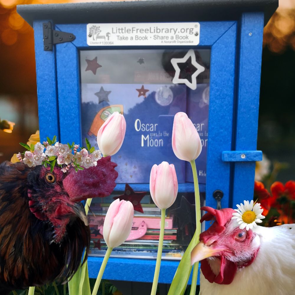 A Blue Box Full of Books