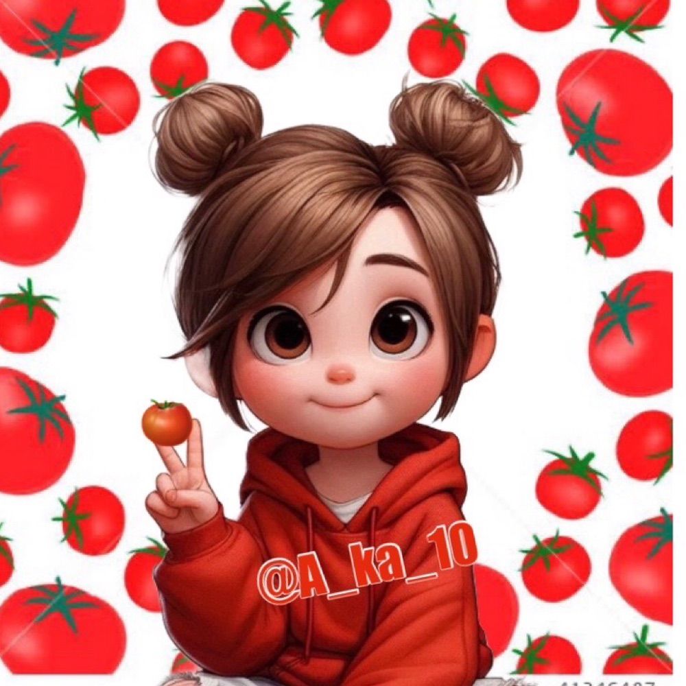 赤茄子🍅とまと