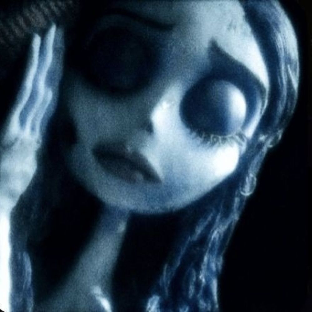 liliy