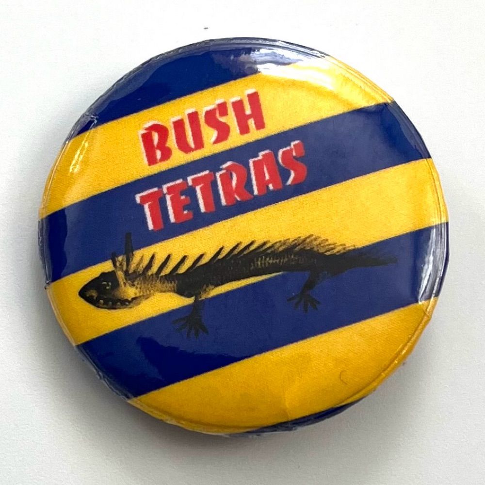 Bush Tetras