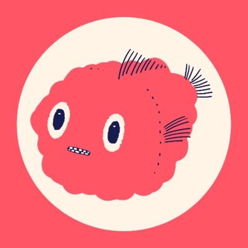 AN-Ko