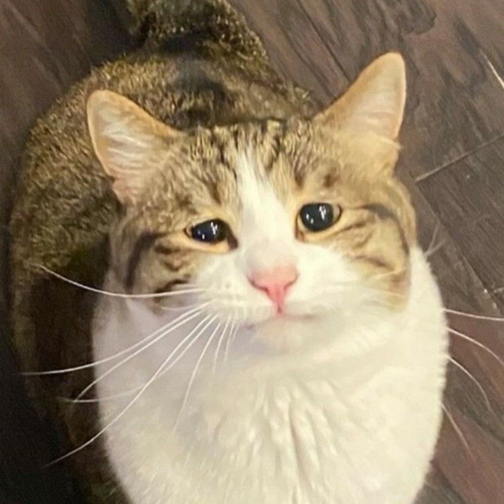 Luca