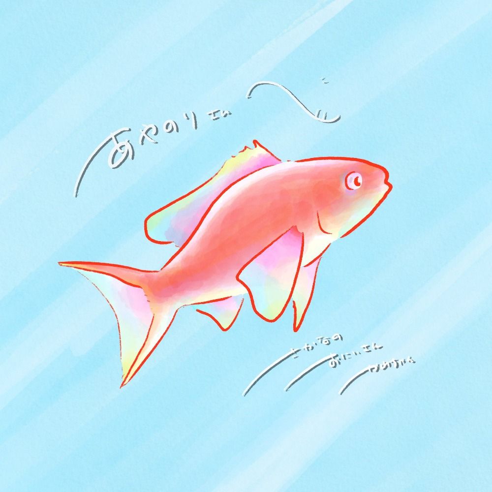 あやのり