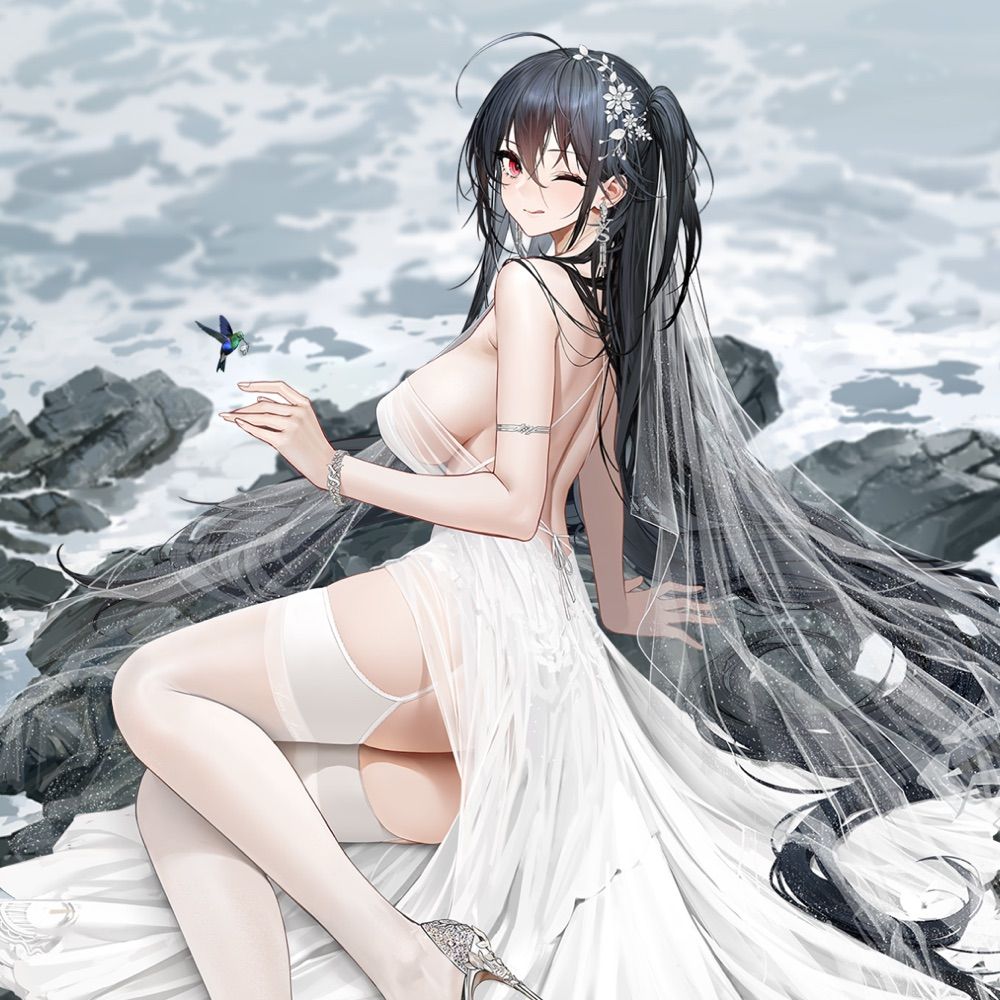 コケ@鹿児島鯖