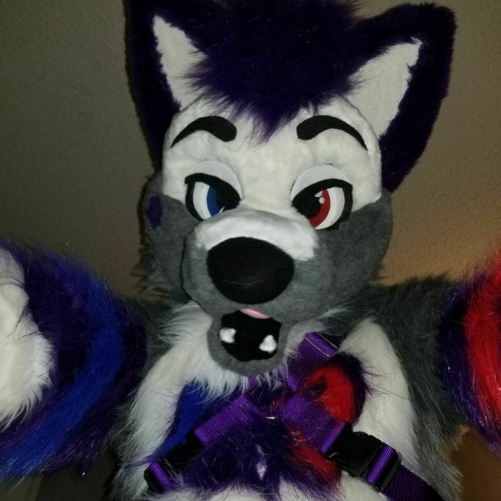 Jakeythefurry🔞