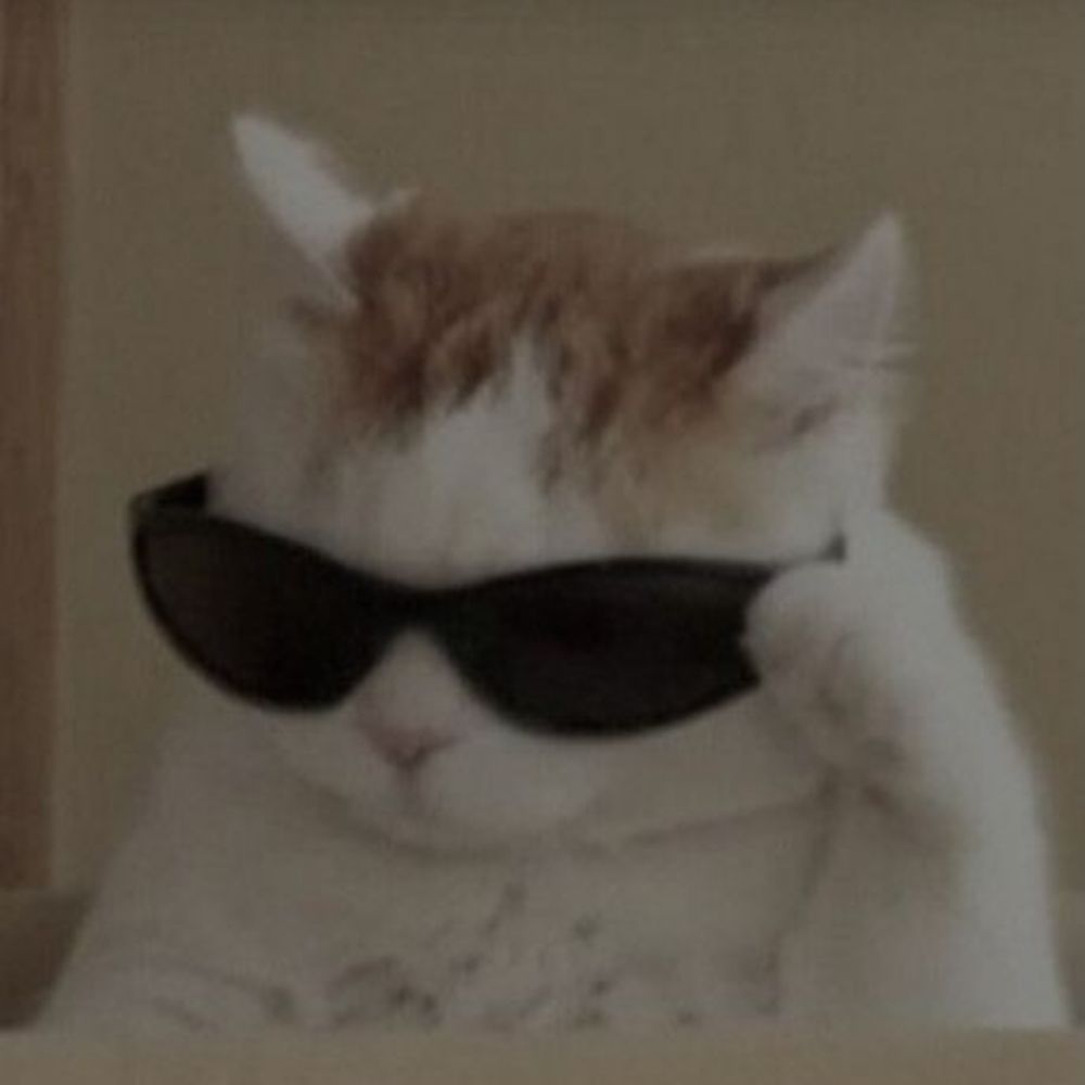 ✗