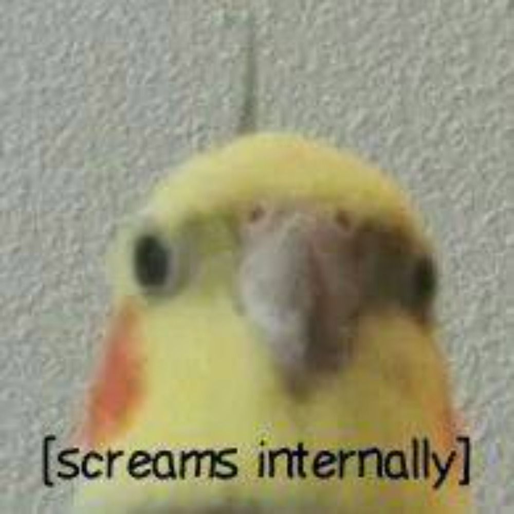 Mr.Birb 